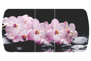 Стол обеденный "Бостон-3 Розовая орхидея" 1100/1420*700 (опора брифинг)!!!, фотопечать