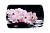 Стол обеденный "Бостон-3 Розовая орхидея" 1100*700 (опора триумф)!!!, фотопечать
